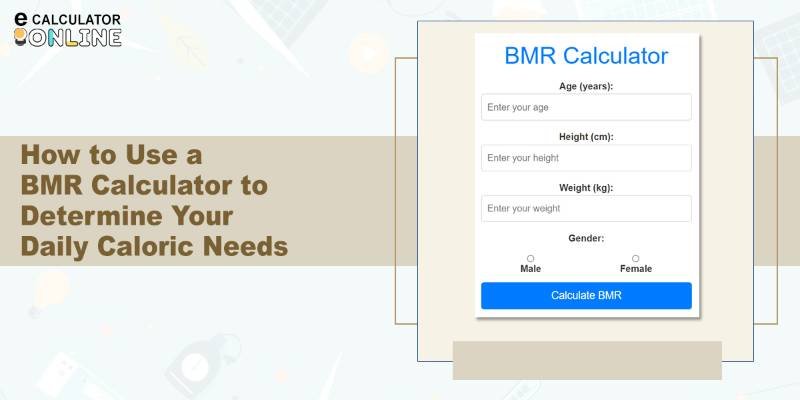 How to Calculate BMR