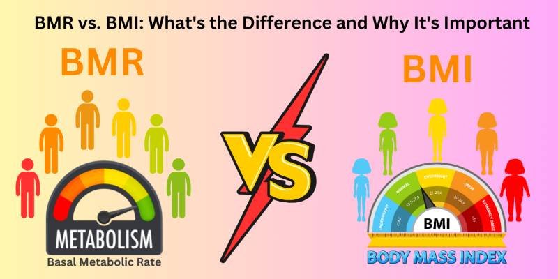 BMR vs BMI