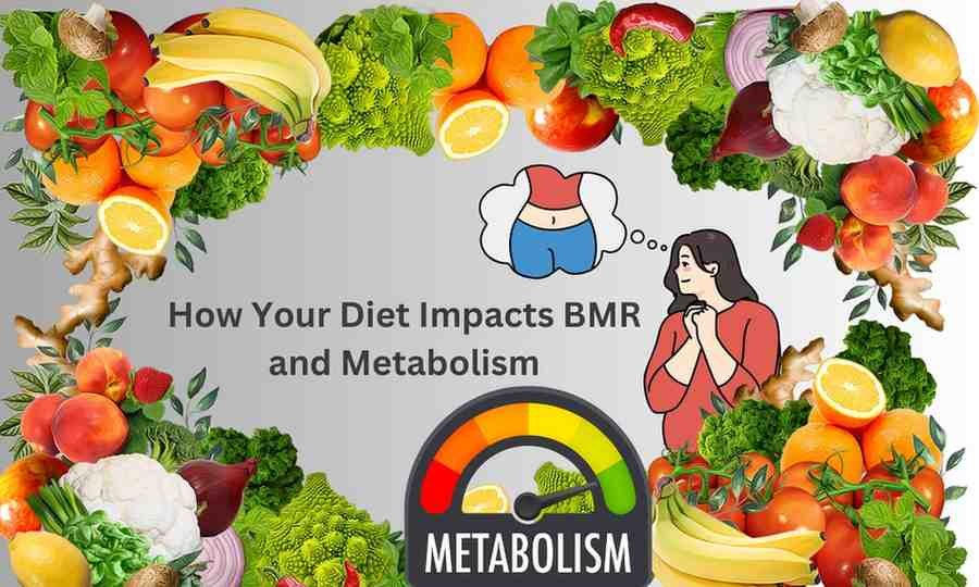 How Your Diet Impacts BMR and Metabolism